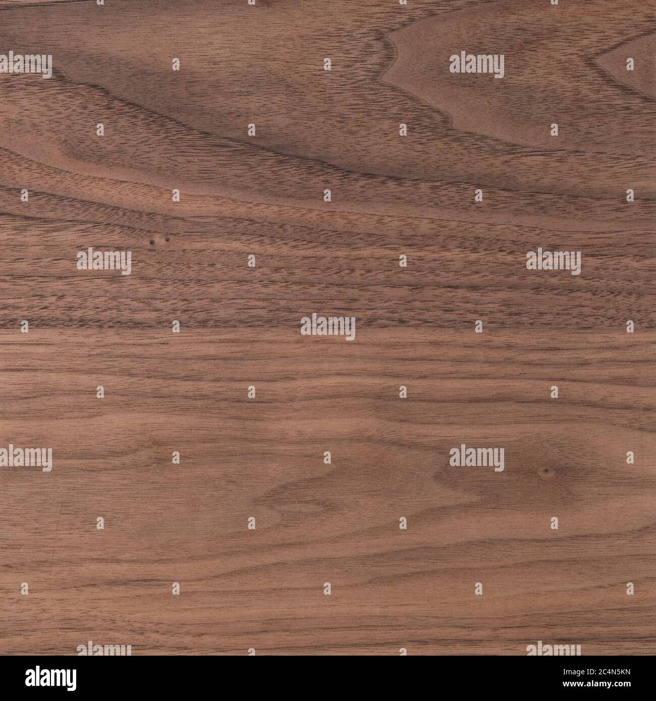 Texture de bois de noyer noir brut poncé sans finition Banque D'Images