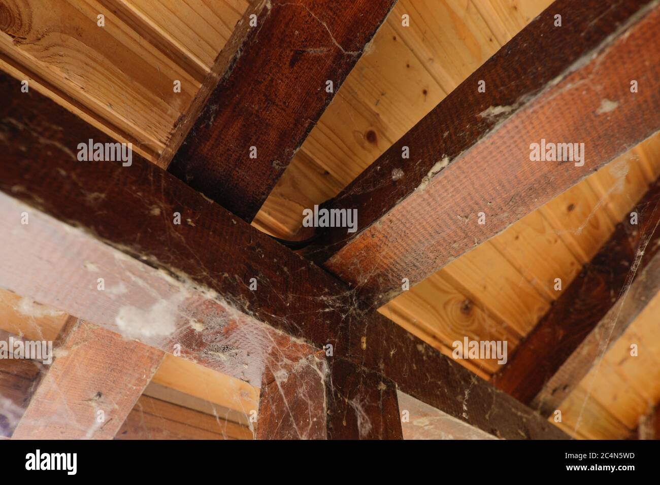 Image de faible profondeur de champ (mise au point sélective) avec toiles d'araignée à l'intérieur d'une cabine en bois abandonnée. Banque D'Images