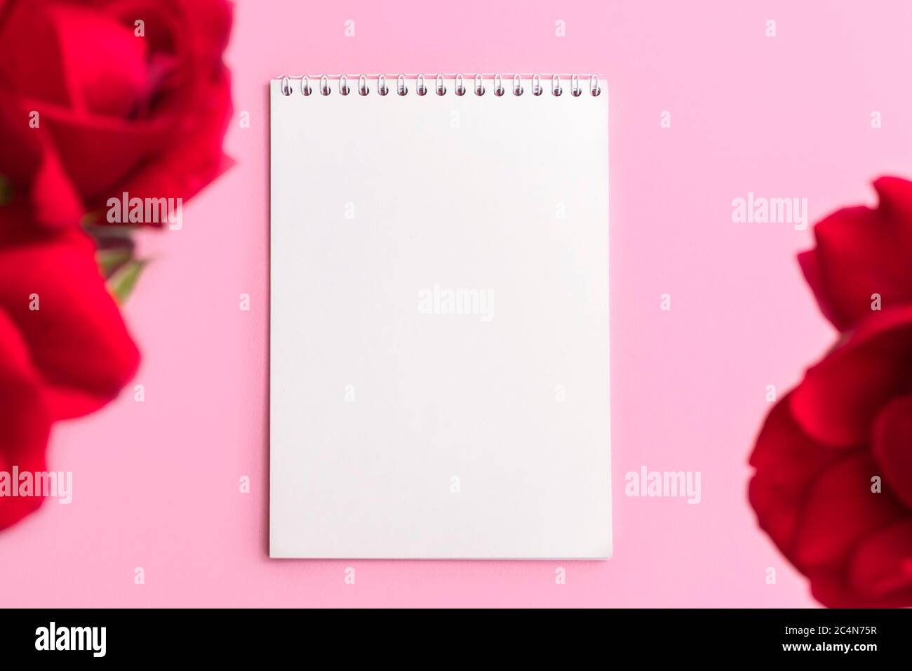 Vue au-dessus du bloc-notes en papier vierge avec cadre en forme de fleur sur fond rose pâle. Image avec espace de copie, vue de dessus Banque D'Images