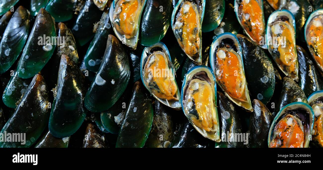 Gros plan des moules vertes asiatiques sur la glace, les moules fraîches et les moules brutes en deux sont en vente sur un marché local. Vue de dessus. Pose à plat. Banque D'Images