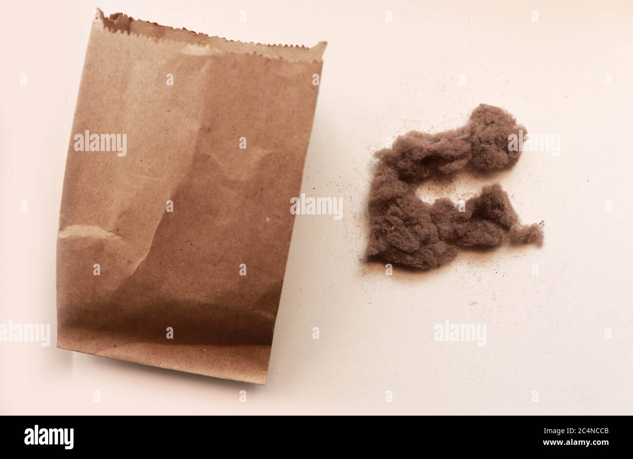 Un sac en papier et une poussière Banque D'Images