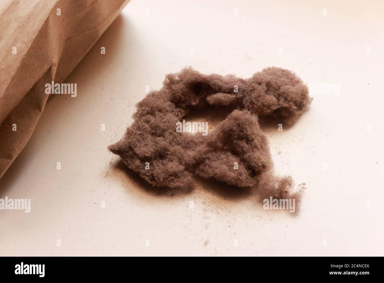 Un sac en papier et une poussière Banque D'Images