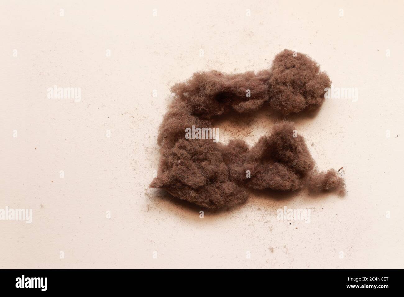 Tas de particules de poussière et de fibres Banque D'Images