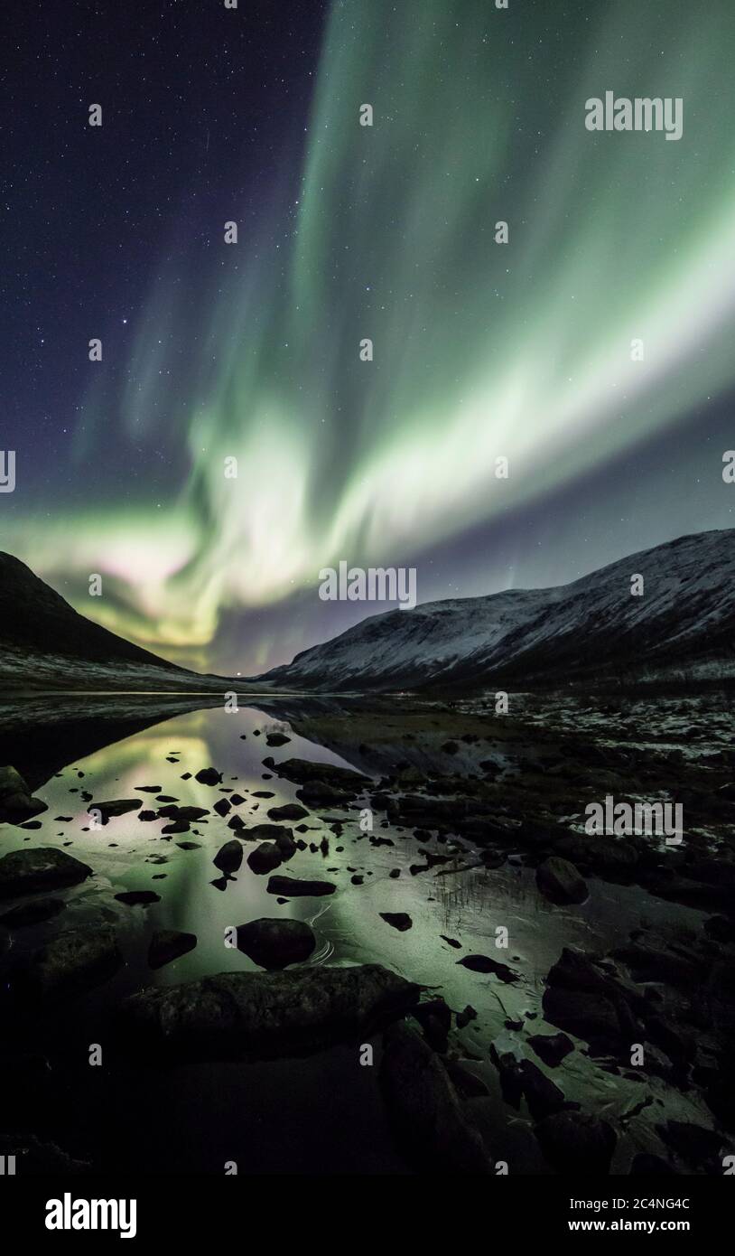 Aurora borealis, lumières du nord, rideaux de couleur active, coronas, ciel nocturne, cercle arctique, Kvaloya, île, Troms, Tromso, Norvège Banque D'Images