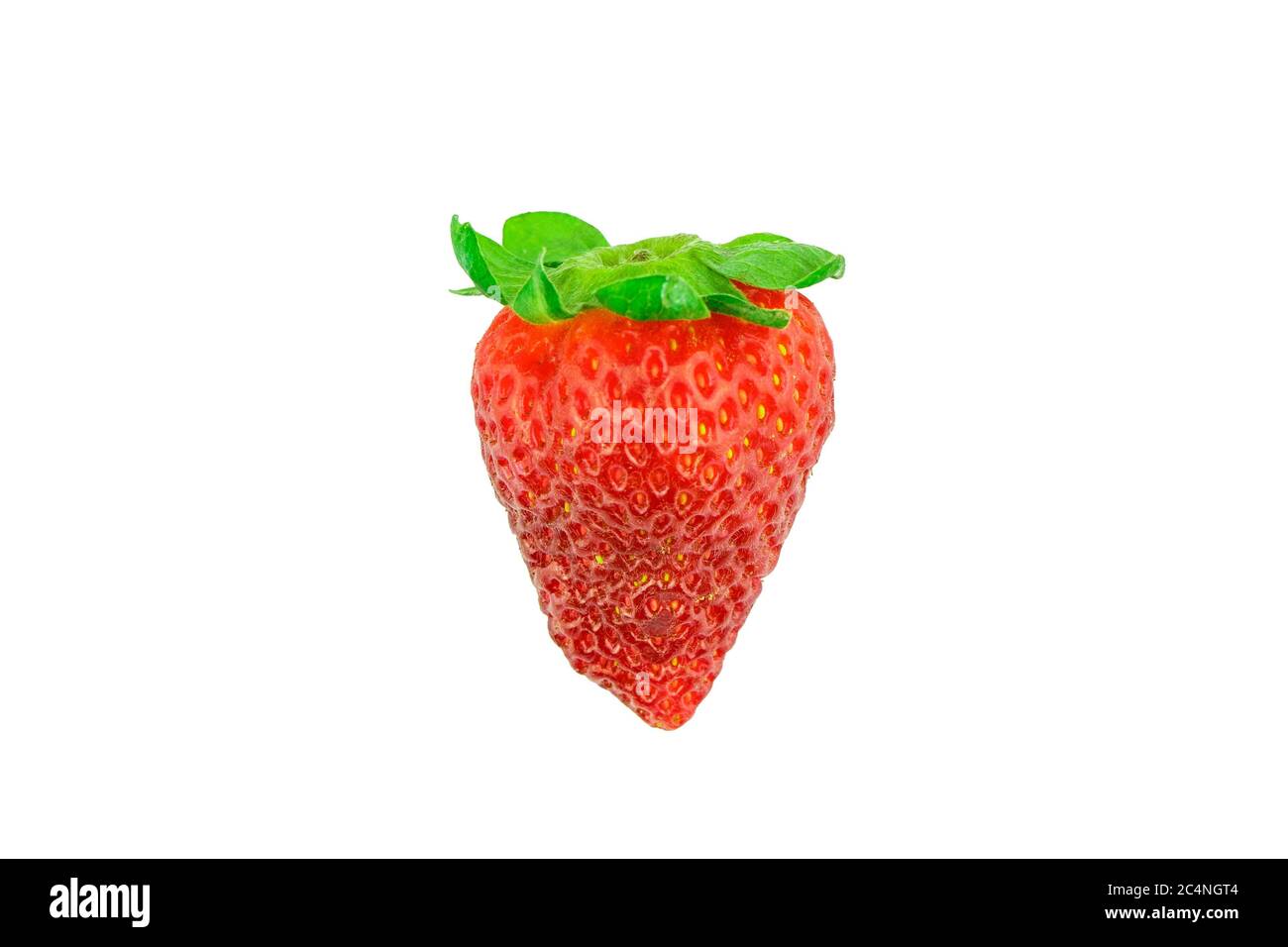 Fraise rouge mûre isolée unique sur fond blanc prête à couper avec sélection baguette magique Banque D'Images