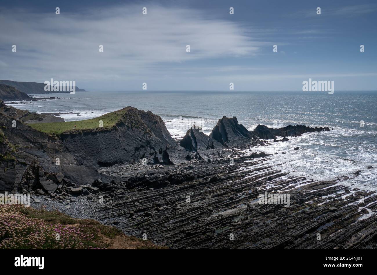 Littoral spectaculaire et accidenté à Hartland Quay, nord du Devon. Orienté sud. Banque D'Images