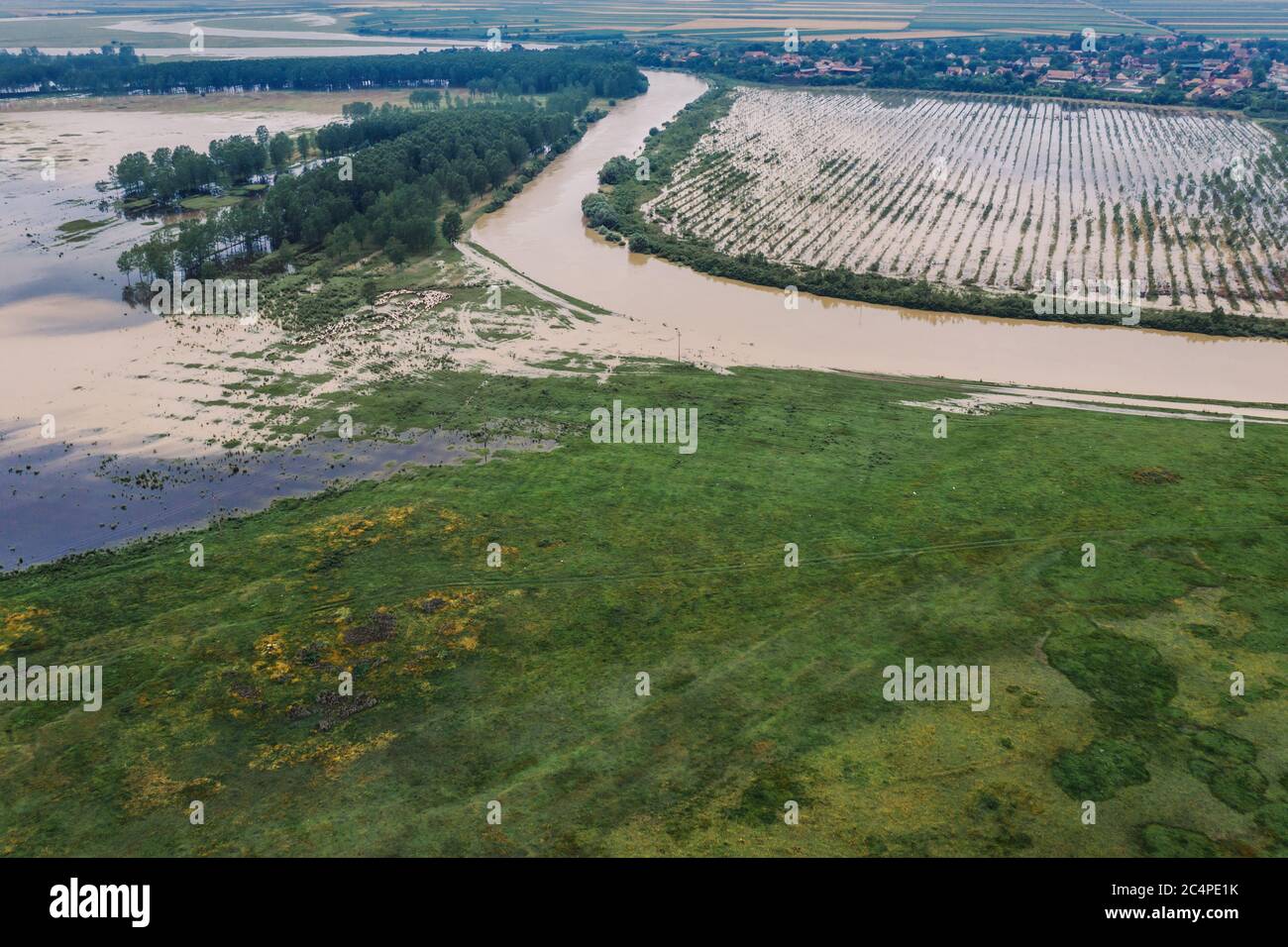 Paysage de campagne et rivière inondés de drone pov. Rivière Tamis dans la province de Voïvodine, Serbie. Banque D'Images