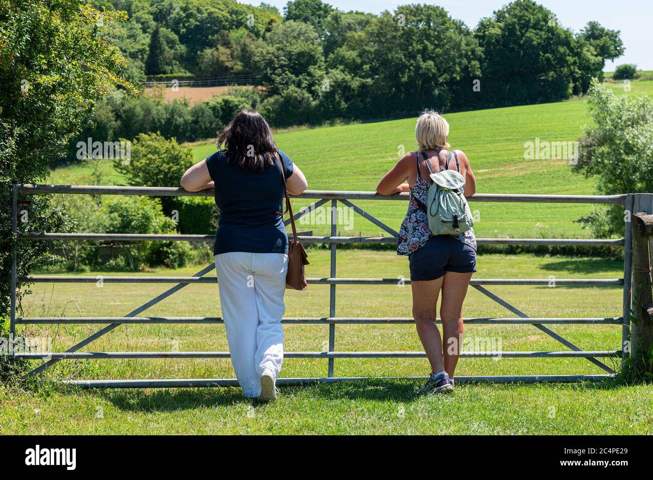 Des femmes d'âge moyen pour une promenade dans la campagne; Kent, Royaume-Uni Banque D'Images Des femmes d'âge moyen pour une promenade dans la campagne; Kent, Royaume-Uni Banque D'Images