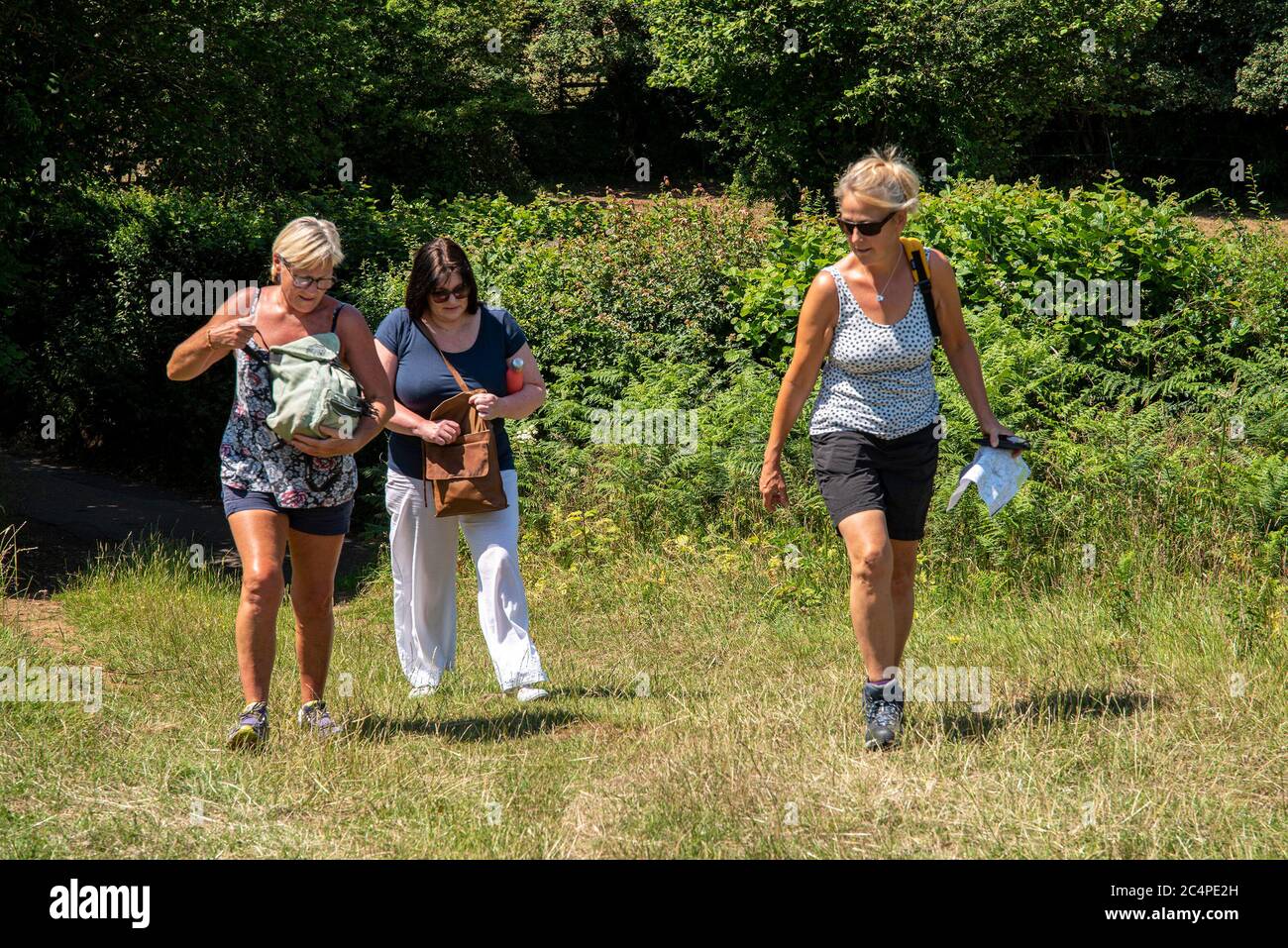 Des femmes d'âge moyen pour une promenade dans la campagne; Kent, Royaume-Uni Banque D'Images Des femmes d'âge moyen pour une promenade dans la campagne; Kent, Royaume-Uni Banque D'Images
