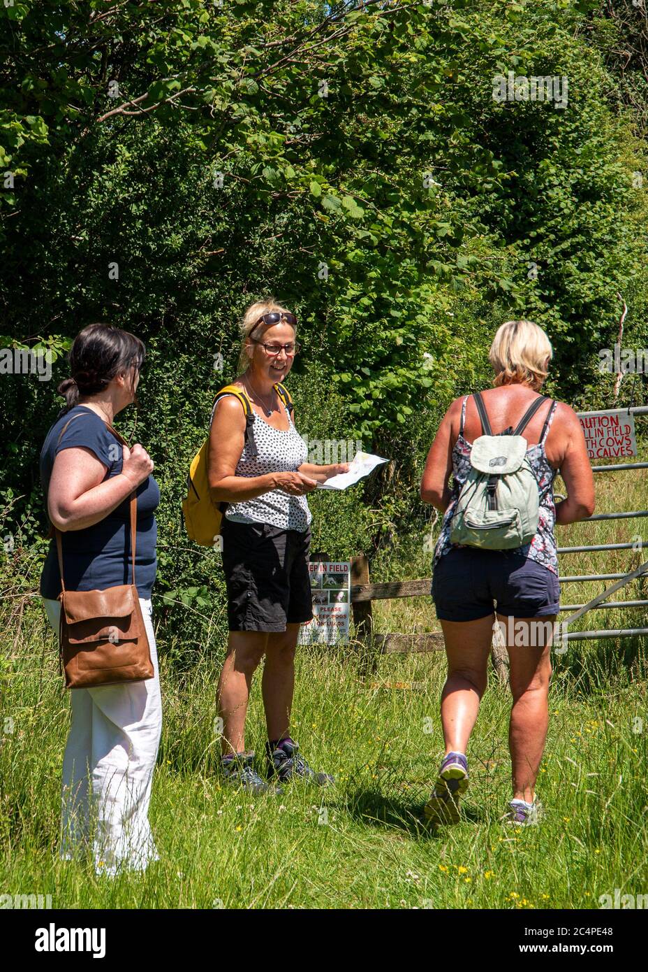 Des femmes d'âge moyen pour une promenade dans la campagne; Kent, Royaume-Uni Banque D'Images