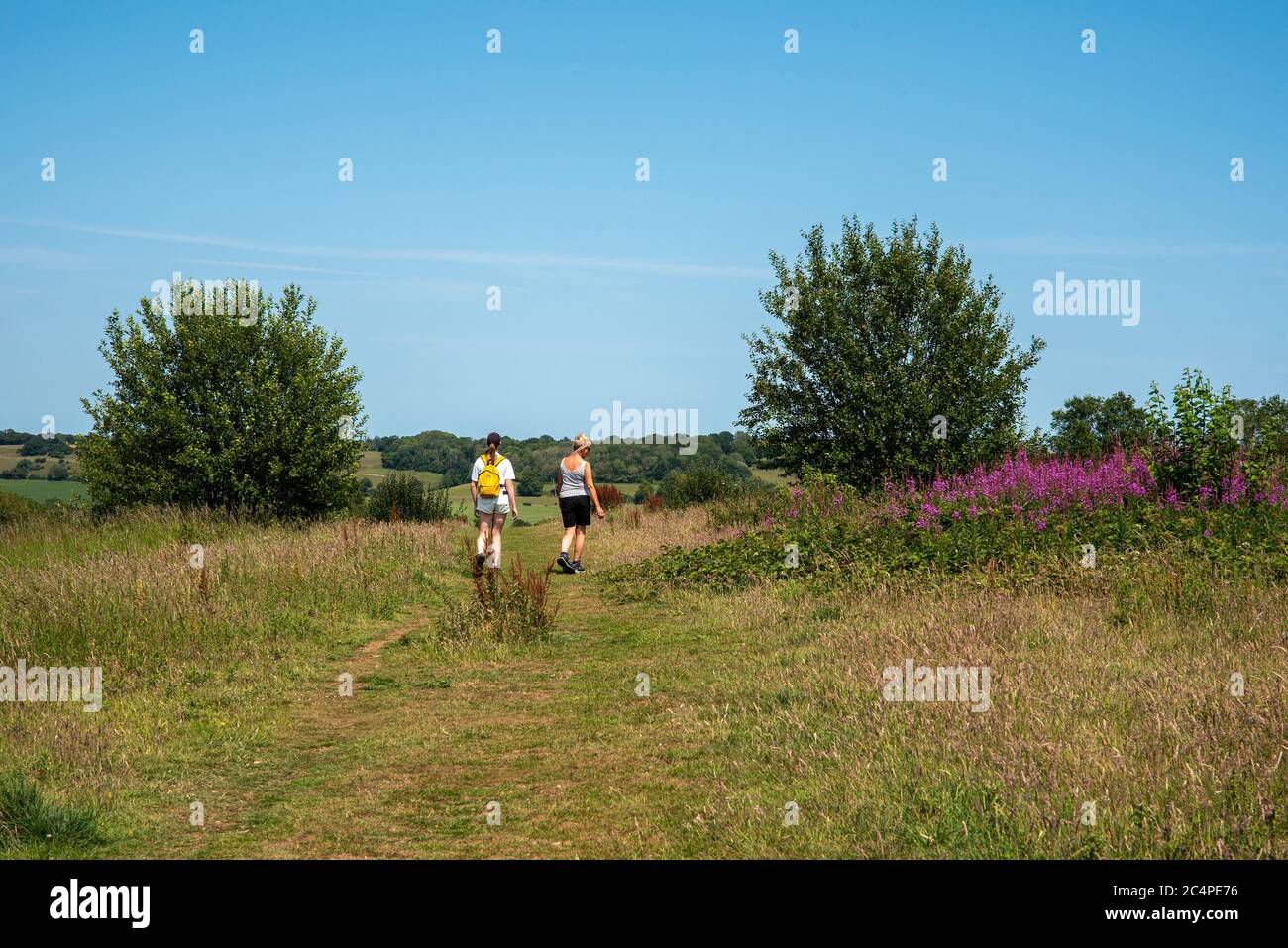 Une dame et sa fille adulte marchant dans la campagne du Kent, au Royaume-Uni. Banque D'Images Une dame et sa fille adulte marchant dans la campagne du Kent, au Royaume-Uni. Banque D'Images
