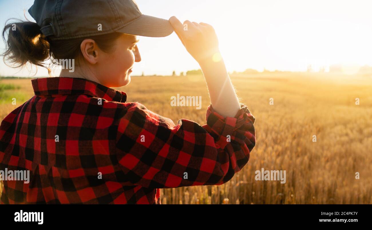 Une femme paysanne regarde le coucher du soleil sur le champ de blé Banque D'Images