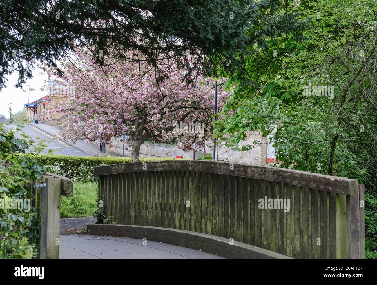 Court pont piétonnier avec arbres et feuillage, en direction de la station de métro Pinner, au printemps. Bridge Street Gardens, Pinner, NW London. Banque D'Images