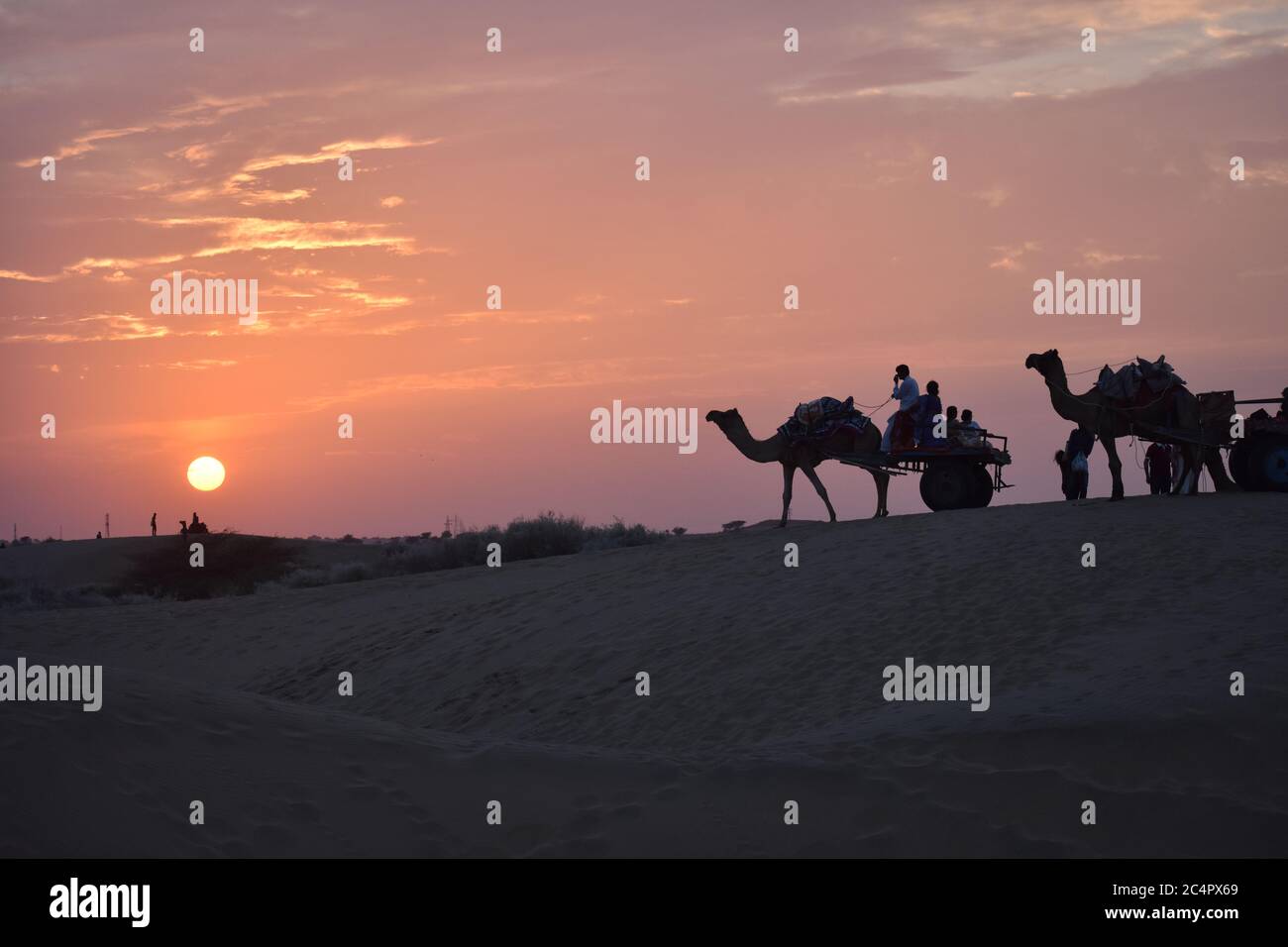 safari dans le désert aux dunes de jaisalmer sam au coucher du soleil Banque D'Images