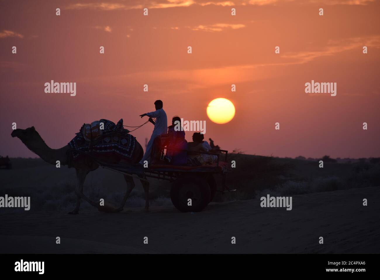 safari dans le désert aux dunes de jaisalmer sam au coucher du soleil Banque D'Images