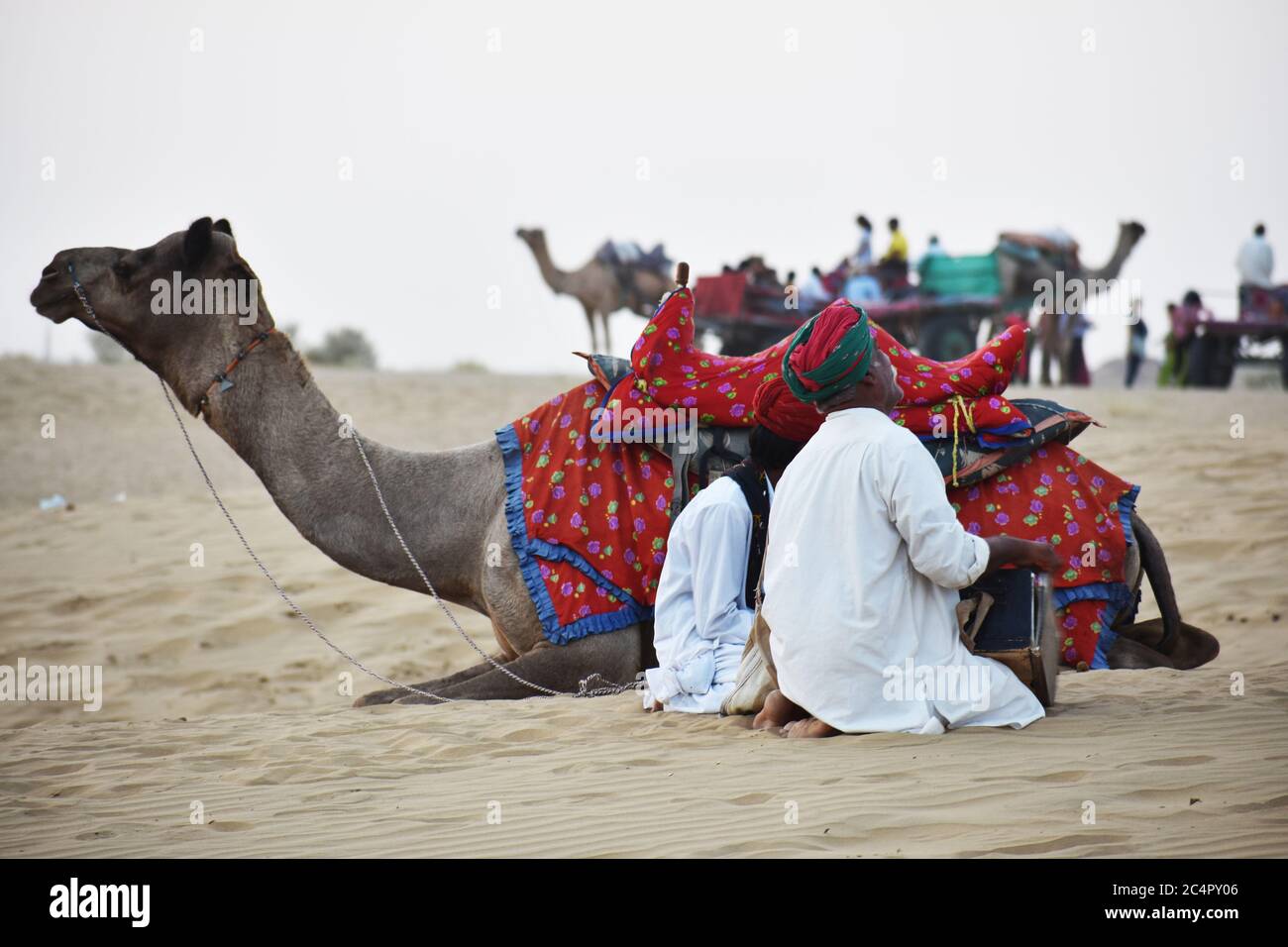 musicien du désert de thar du rajasthan appelé manganiyars Banque D'Images