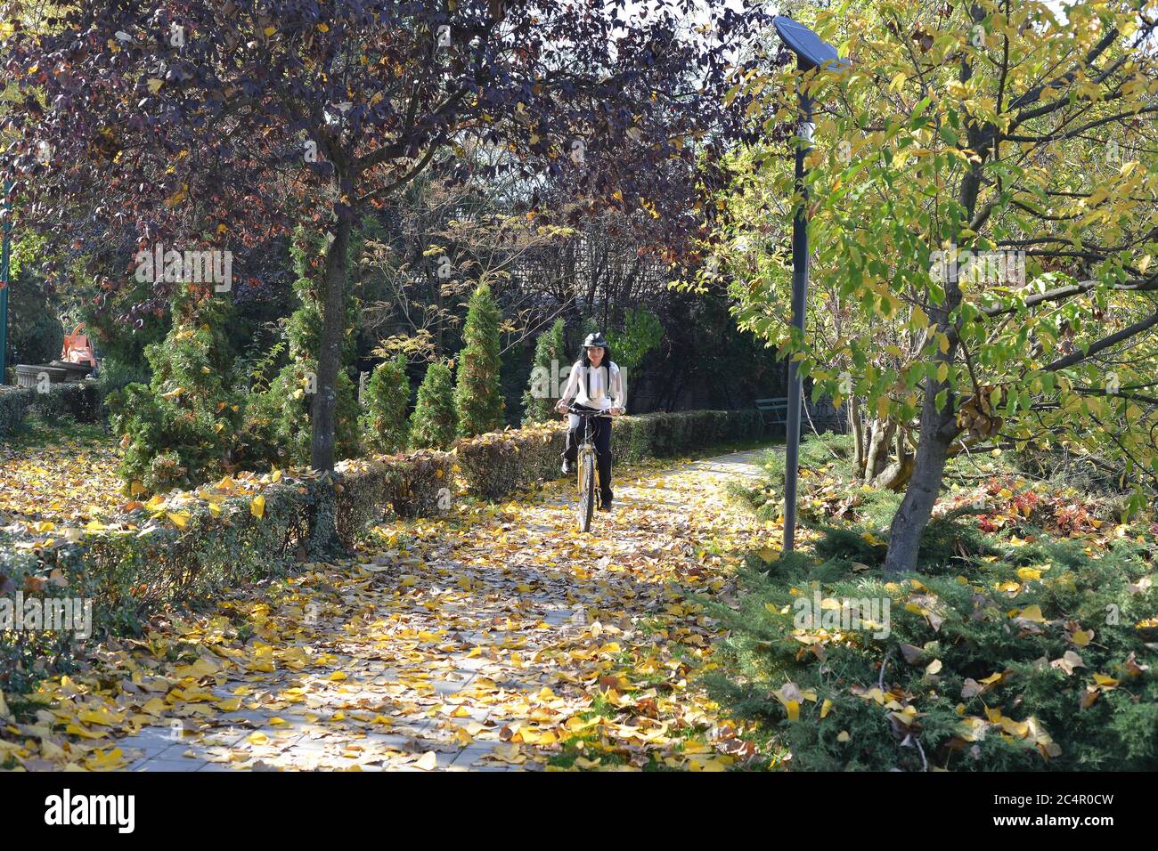 Portrait d'une jeune femme qui fait du vélo dans le parc, le jour de l'automne Banque D'Images