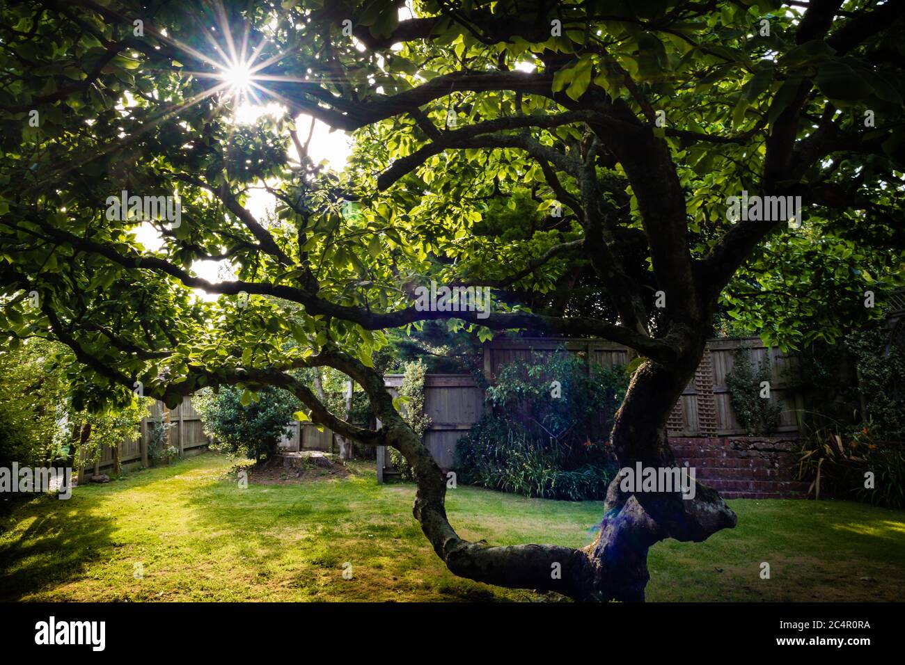 Le soleil de la fête lors d'une soirée de Summers. Banque D'Images