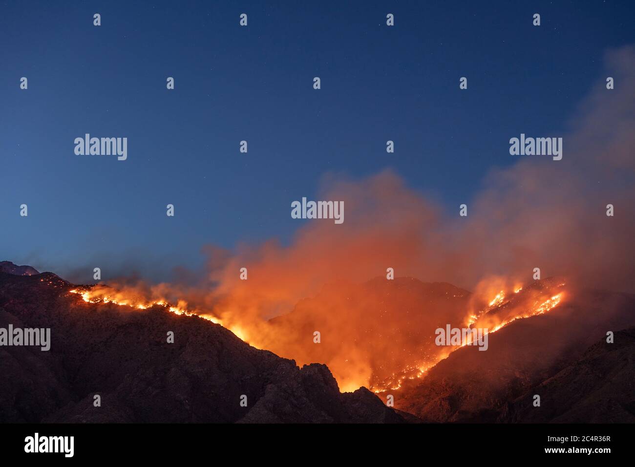 Le feu de Bighorn, Catalina Foothills, Tucson, AZ 6-19-2020 Banque D'Images