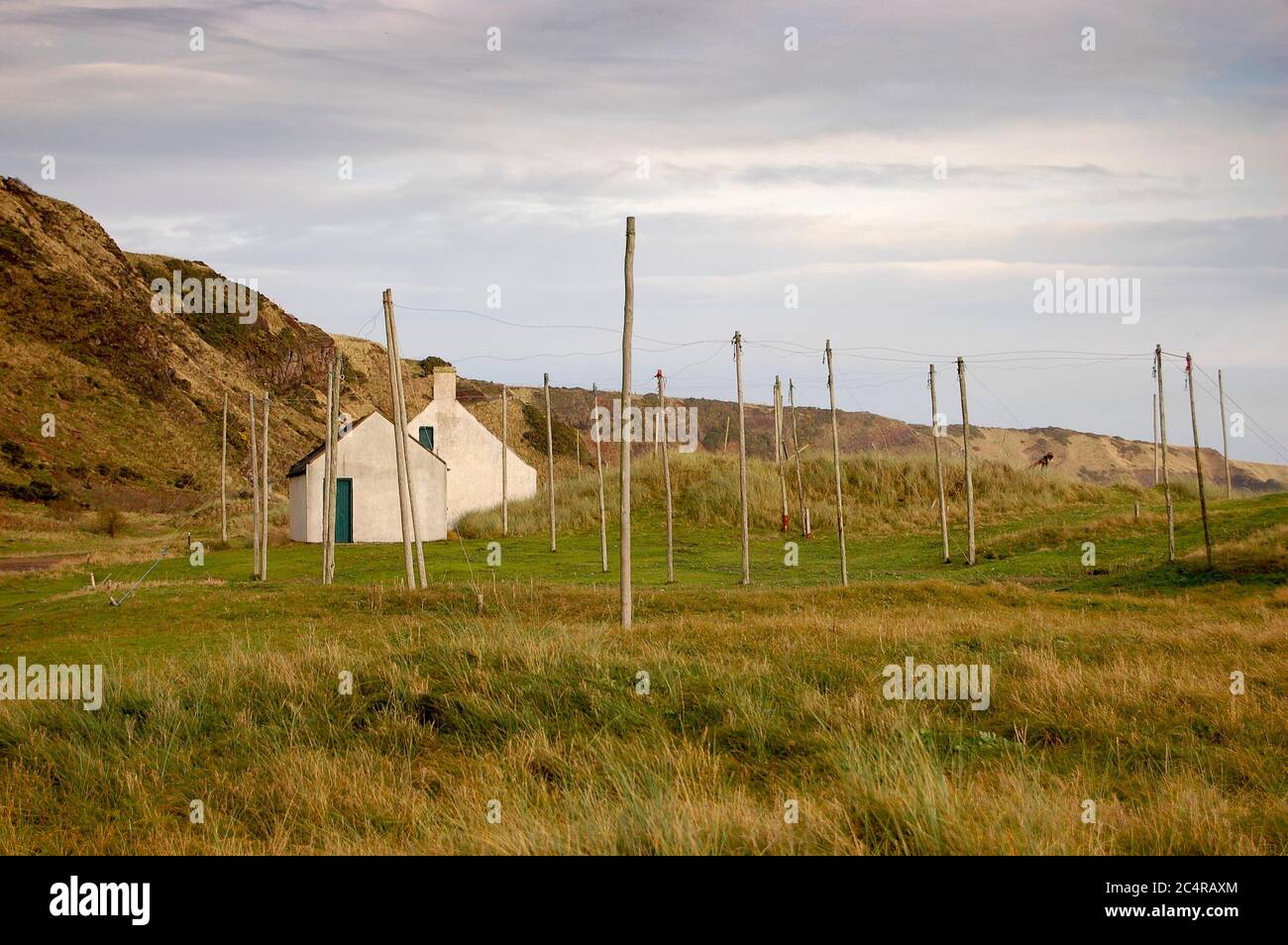 Réserve naturelle, St Cyrus, Écosse Banque D'Images