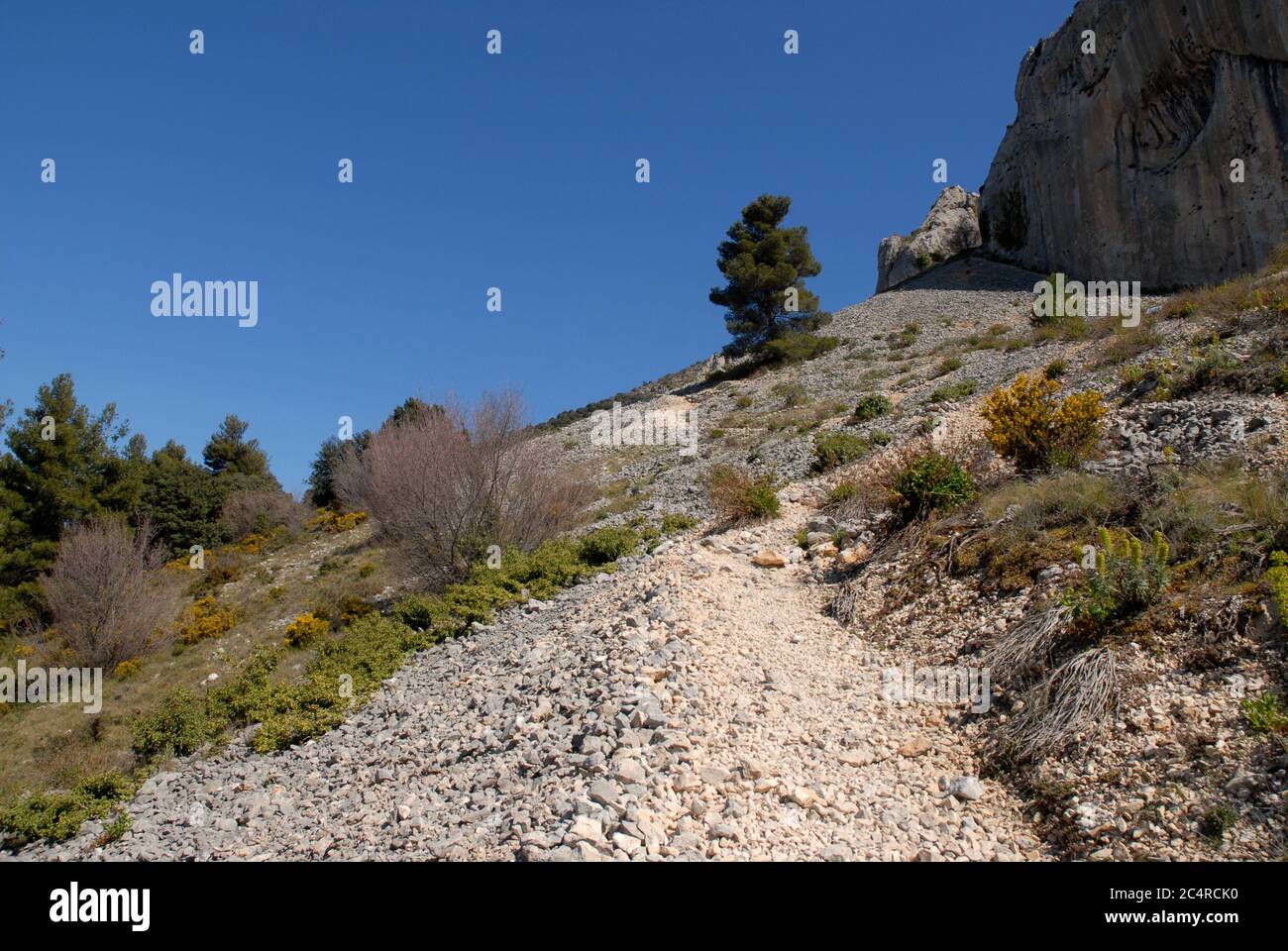 Piste à Els Frares calcaire rochers pinnacles à travers une pente de cries, Sierra de Serrella, Comtat, province d'Alicante, Comunidad Valenciana, Espagne Banque D'Images