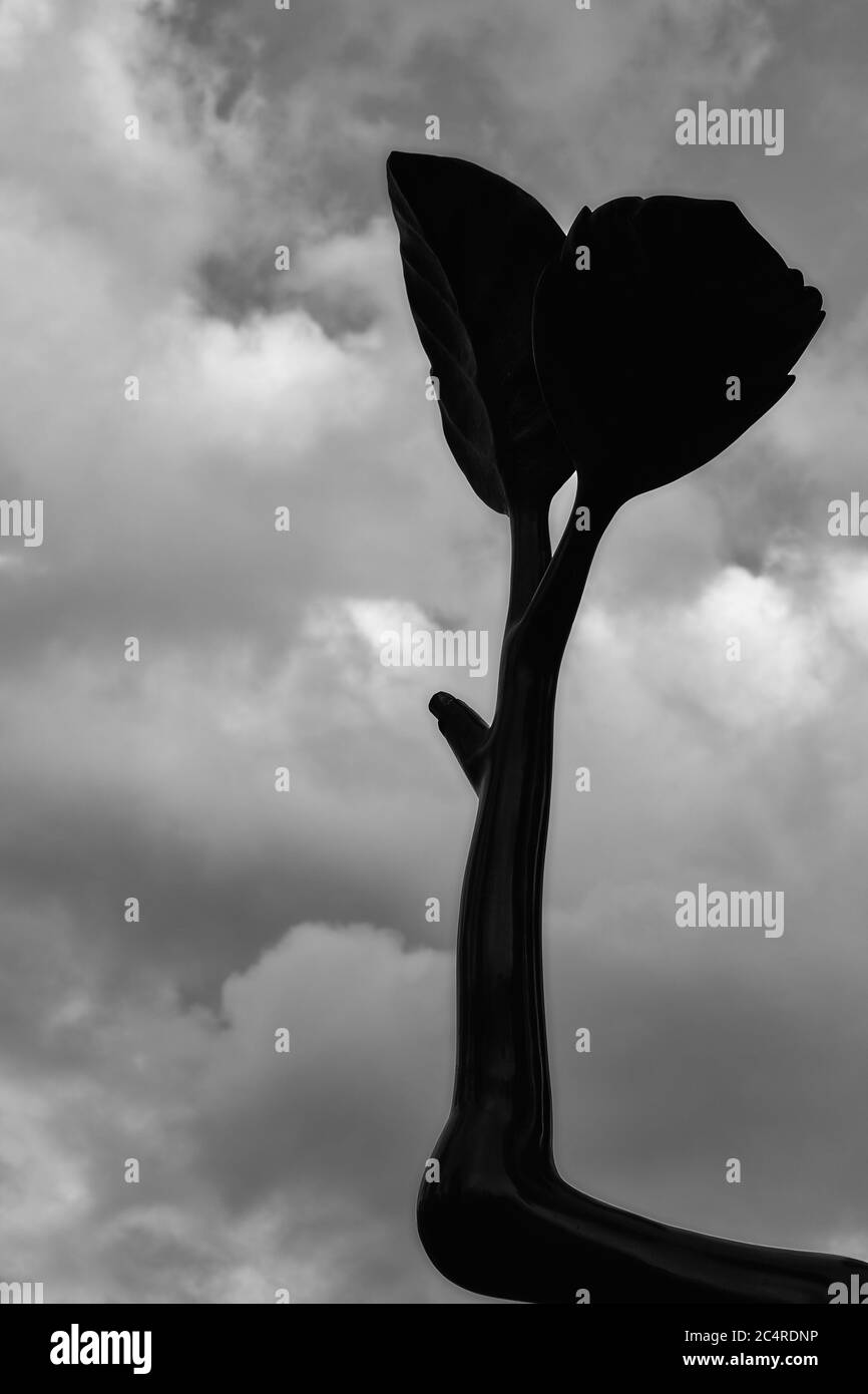 Image en noir et blanc d'une sculpture de feuilles en fleur dans le quartier des affaires de la Défense, Paris, France Banque D'Images Image en noir et blanc d'une sculpture de feuilles en fleur dans le quartier des affaires de la Défense, Paris, France Banque D'Images