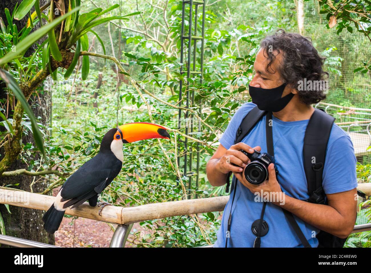 Foz do Iguaçu, Brésil - 11 juin, 2020: Touriste avec un masque de protection en interaction avec un curieux toucan au parc ornithologique, destination touristique populaire Banque D'Images