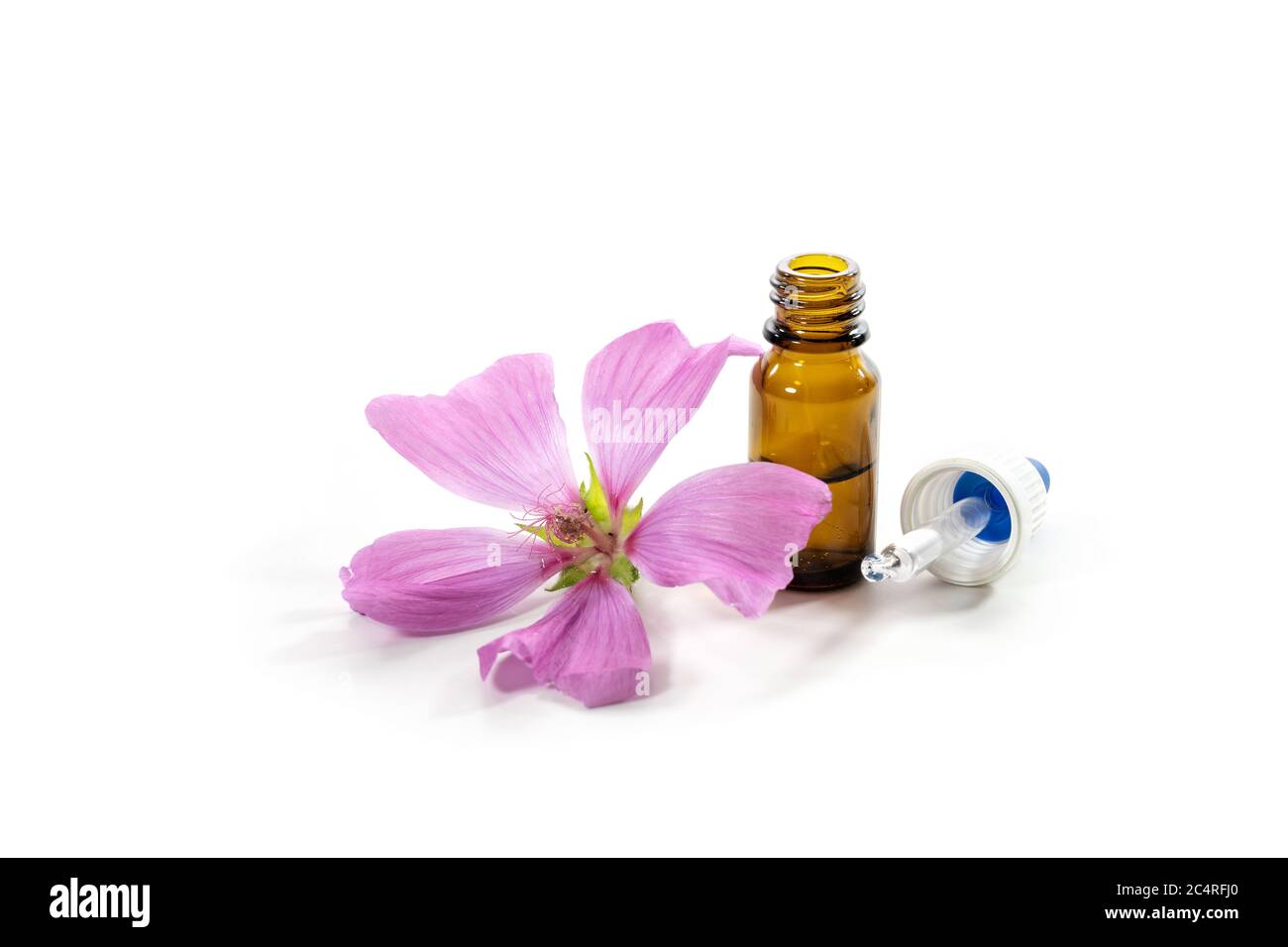 Fleur de malow rose (Malva) et une bouteille avec essence, herbe aromatique et plante médicinale contre la toux, mal de gorge, le froid et la grippe, isolée avec de petits Banque D'Images