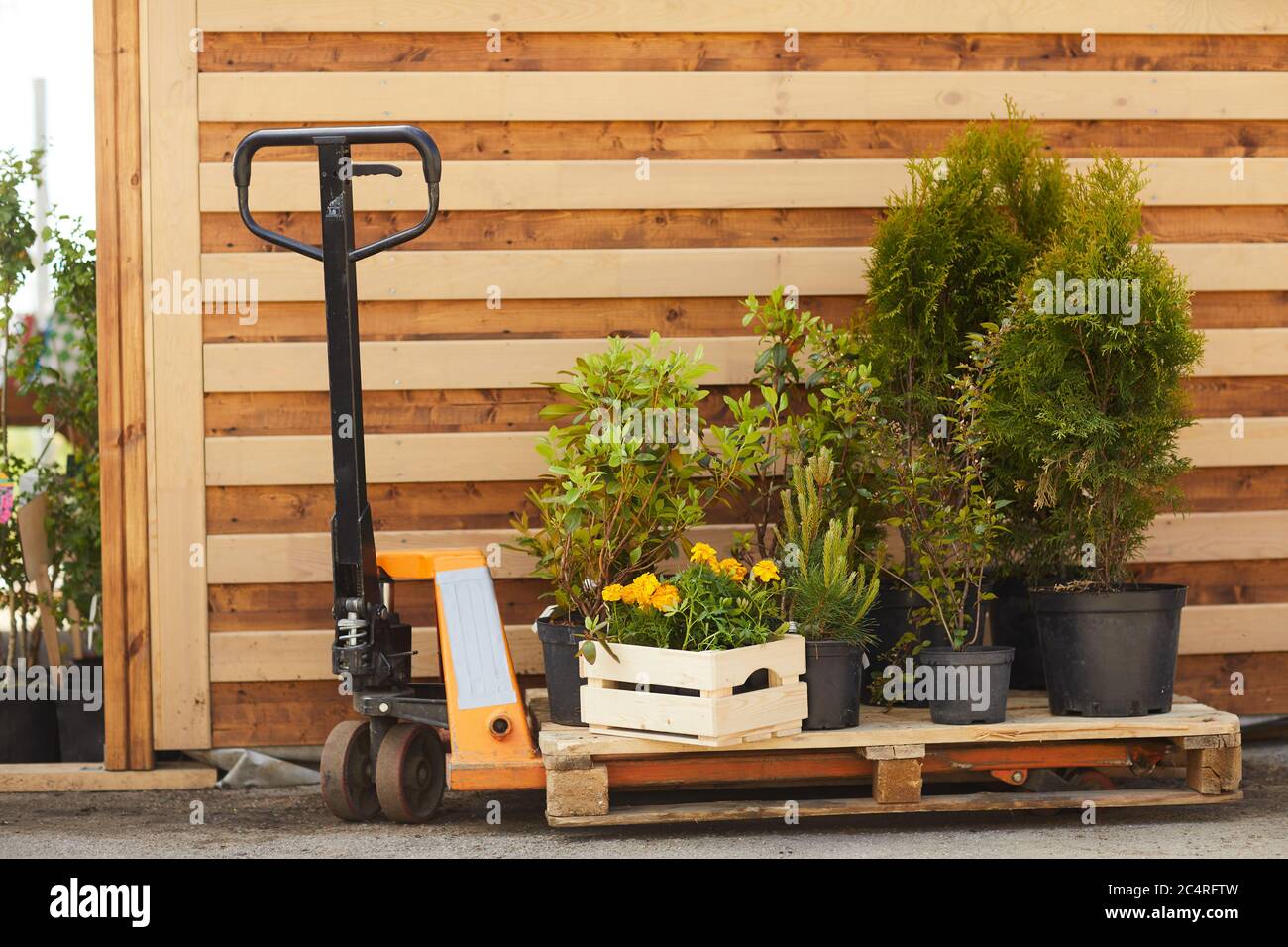 Image de fond des outils de jardinage, des fleurs et des arbres de jeunes arbres debout par hangar en bois à l'extérieur, espace de copie Banque D'Images