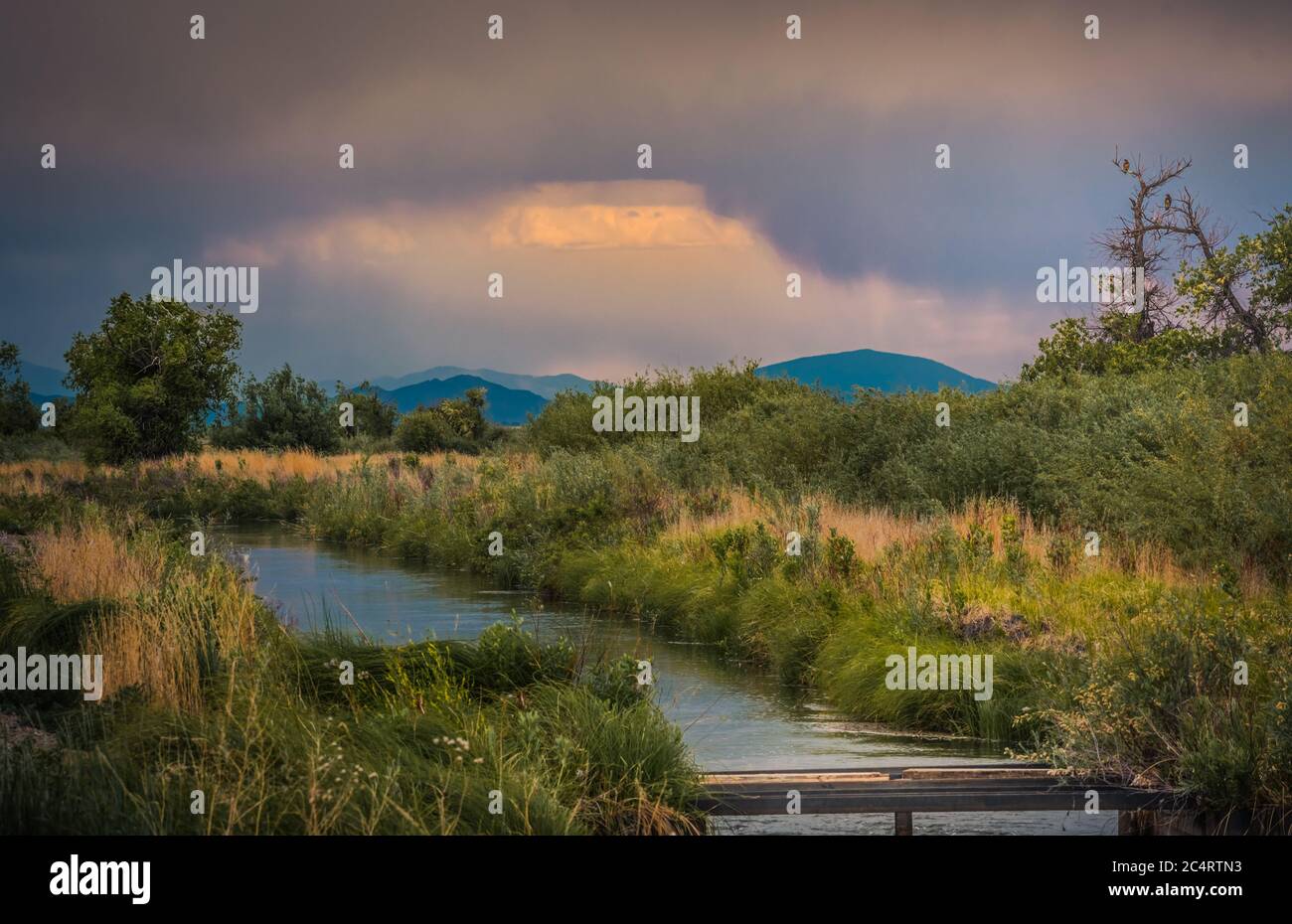 Réserve naturelle nationale d'Alamosa au printemps Banque D'Images