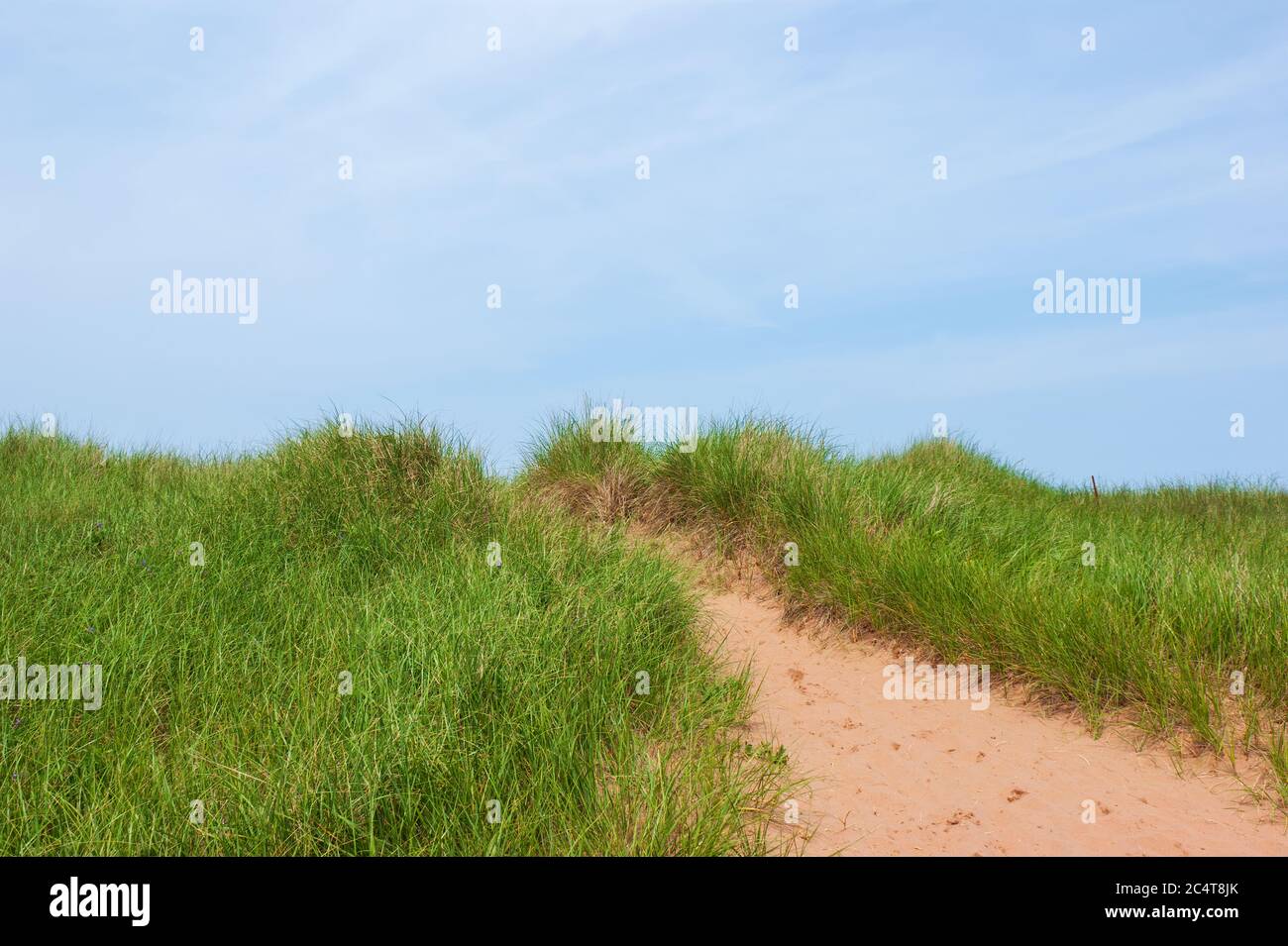 Chemin de plage à travers les dunes de sable fragiles. Pelouse verte sous un ciel bleu. Plage Stanhope, parc national de l'Île-du-Prince-Édouard, Canada Banque D'Images