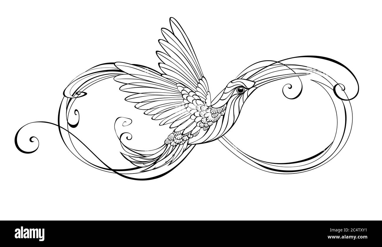 Tracez le symbole de l'infini avec un oiseau-colibri stylisé sur un fond blanc isolé. Illustration de Vecteur