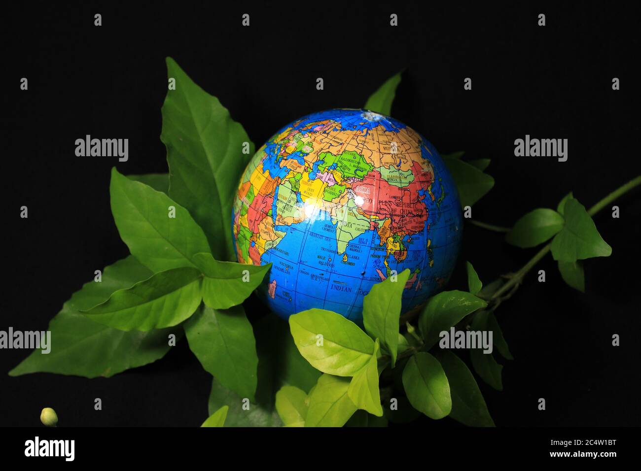 Vert Terre sur les feuilles isolé sur le noir. Globe terrestre avec feuilles vertes isolées sur fond noir. Globe scolaire sur fond noir. Banque D'Images