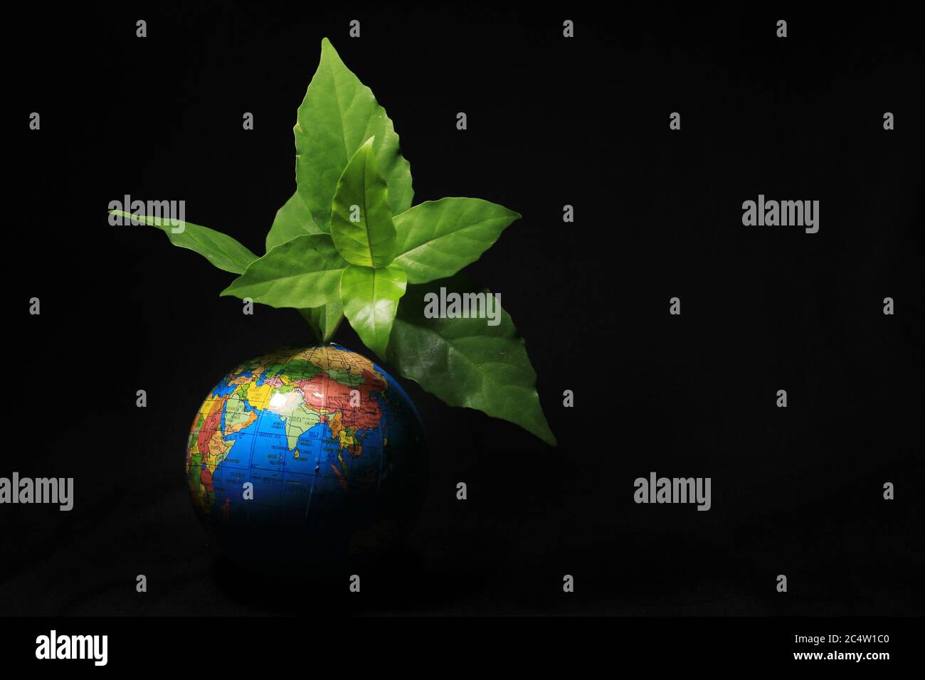 Vert Terre sur les feuilles isolé sur le noir. Globe terrestre avec feuilles vertes isolées sur fond noir. Globe scolaire sur fond noir. Banque D'Images