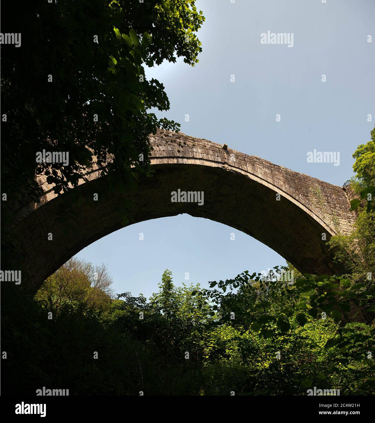 L'arche du Causey. Pont à travée unique le plus ancien au monde. Près de Stanley, comté de Durham, Royaume-Uni Banque D'Images