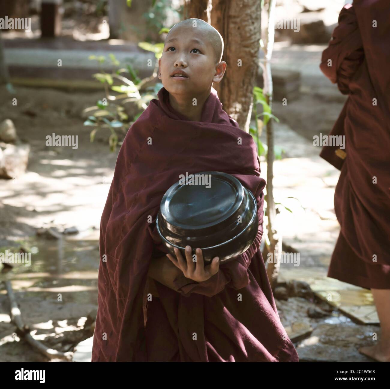 Yangon, Myanmar - 23 février 2014 : jeunes Monk à la recherche Banque D'Images