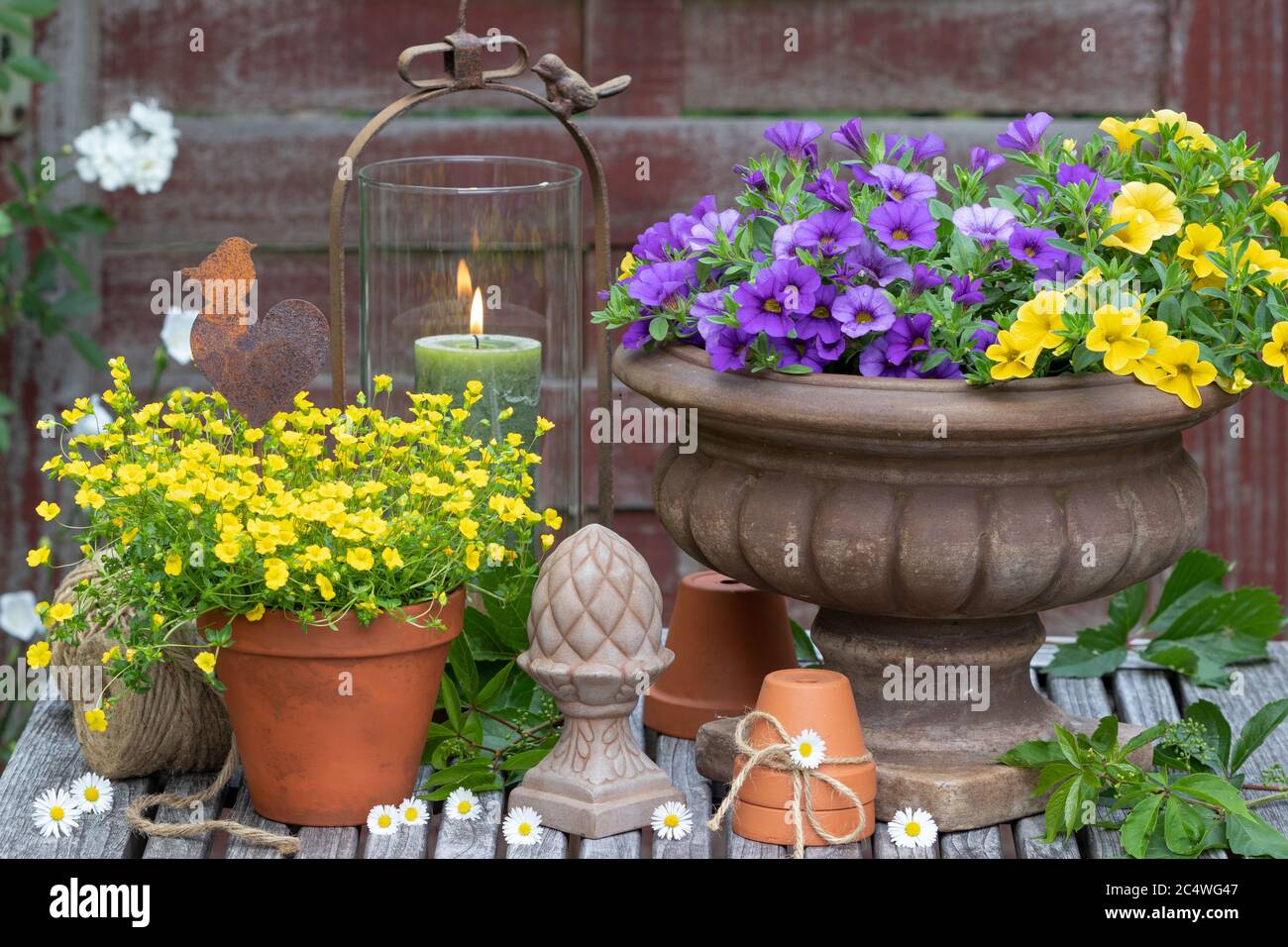 décoration de jardin rustique avec fleurs d'été et pots en terre cuite ...