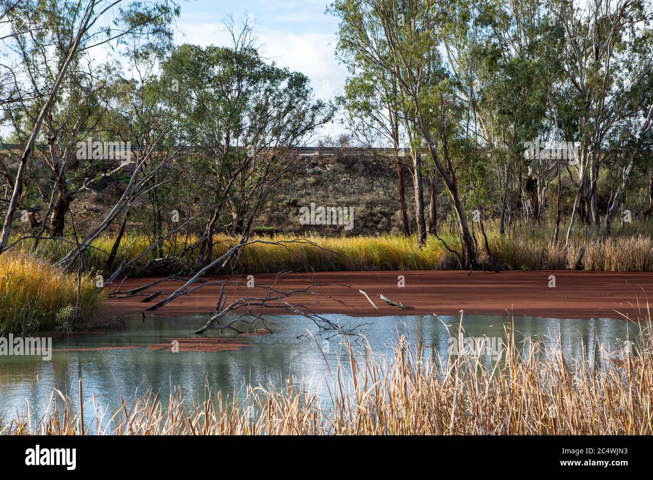 Marais autour de la rivière Murray à Cobdogla en Australie-Méridionale le 22 juin 2020 Banque D'Images