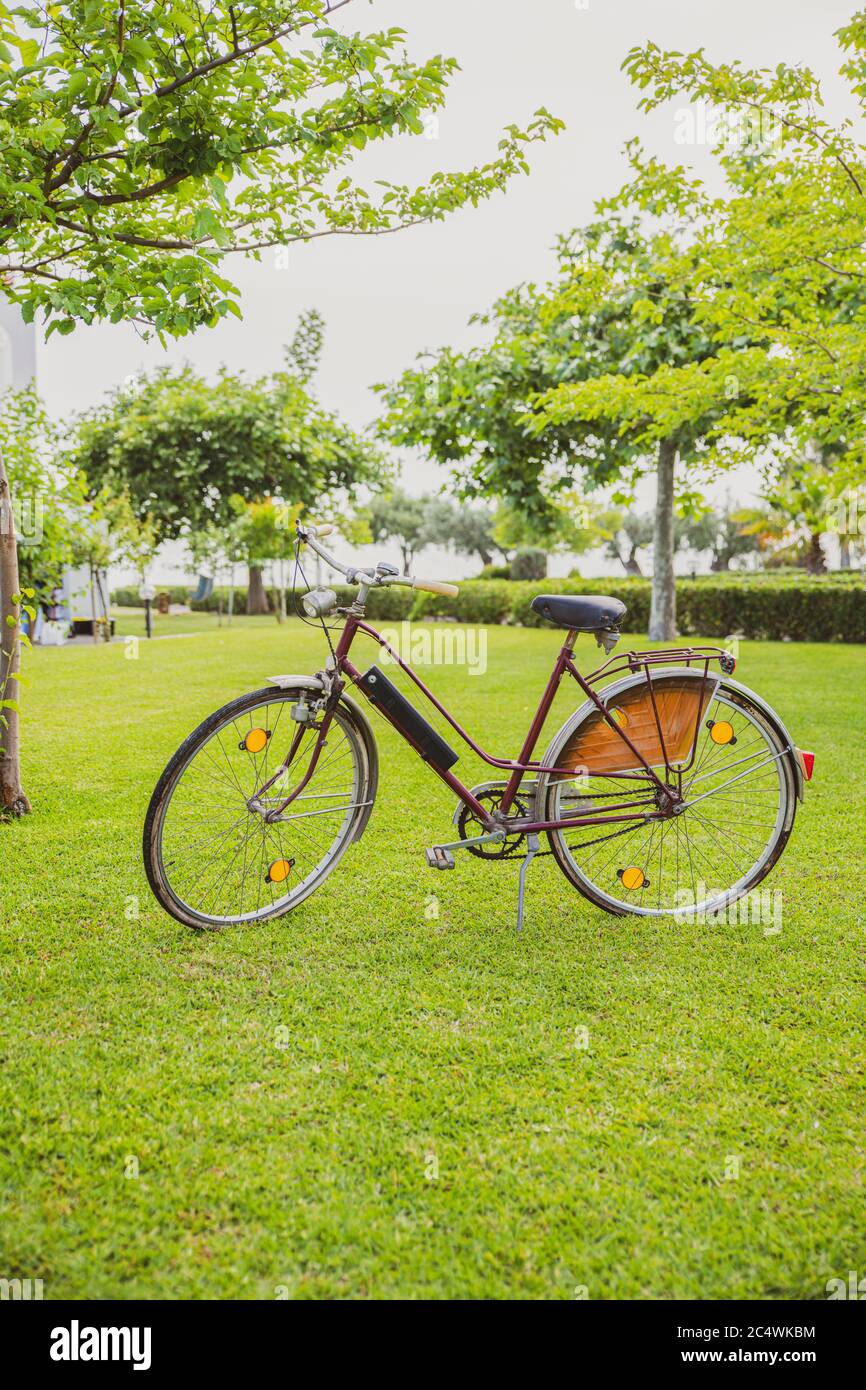 Jardin de la maison et vélo d'époque sur un fond d'été avec des arbres et des fleurs Banque D'Images