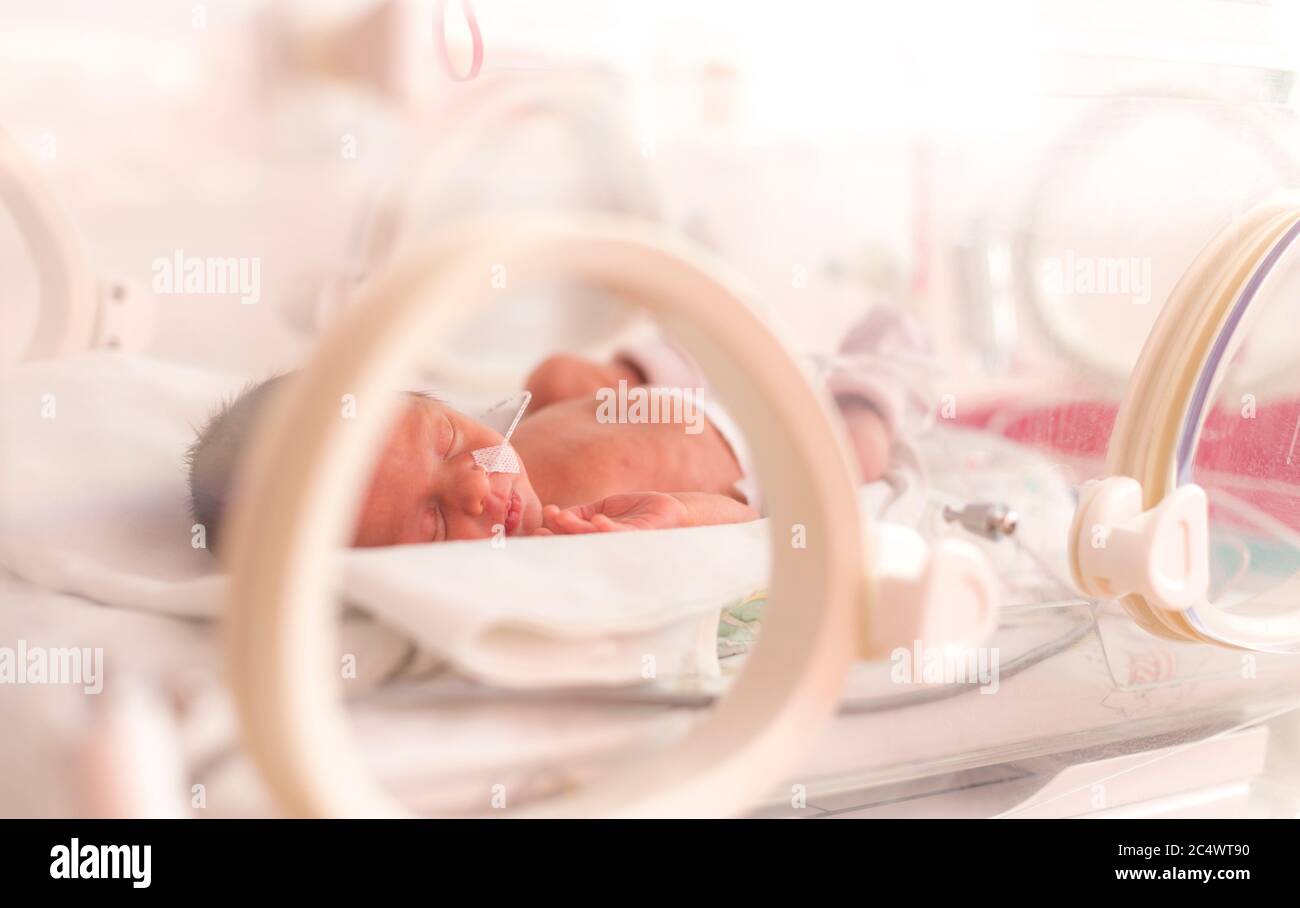 Nouveau Ne Premature Dans L Incubateur De L Hopital Apres La Section C En 33 Semaines Photo Stock Alamy Nouveau Ne Premature Dans L Incubateur De L Hopital Apres La Section C En 33 Semaines Photo Stock Alamy