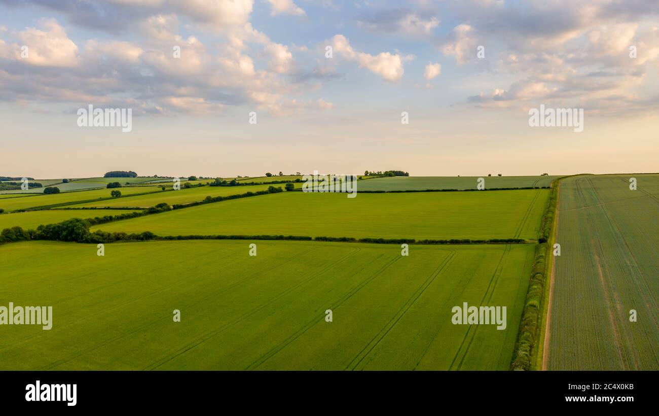Vue aérienne sur les champs verts jusqu'à l'horizon et ciel bleu nuageux au-dessus de l'Oxfordshire Banque D'Images Vue aérienne sur les champs verts jusqu'à l'horizon et ciel bleu nuageux au-dessus de l'Oxfordshire Banque D'Images