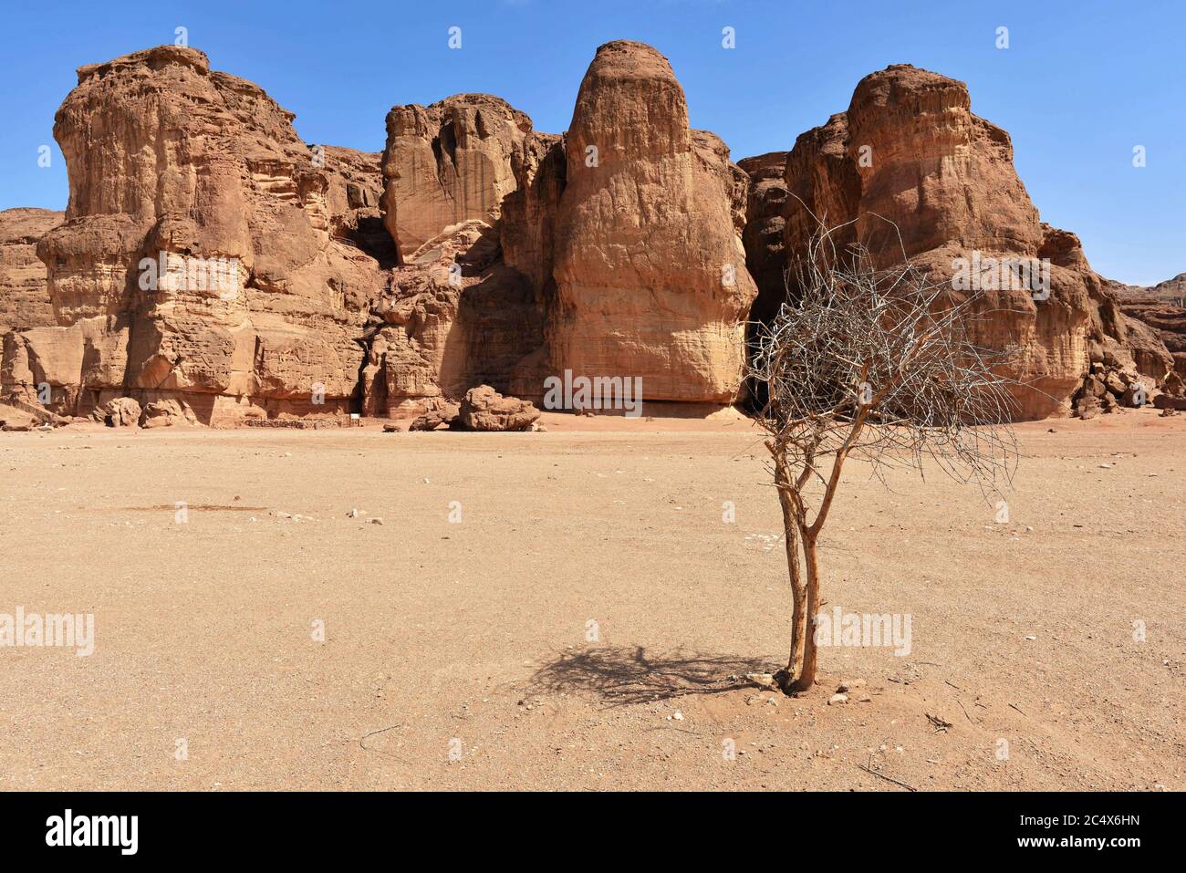 Piliers de Solomons, parc Timna, Israël. Les piliers ont été formés il y a plus de 500 millions d'années par la pluie pénétrée dans des fissures dans le grès Banque D'Images