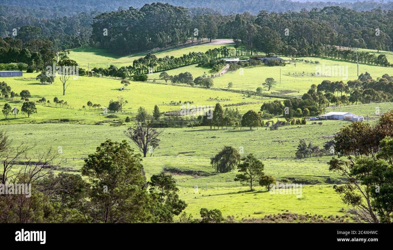 Pâturages ruraux fertiles Murrah NSW Australie Banque D'Images