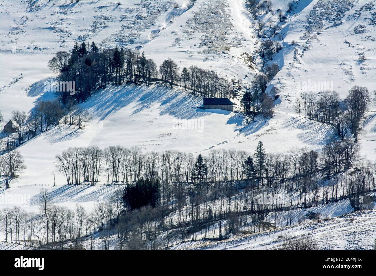 Ferme isolée en hiver. Cantal. Auvergne-Rhône-Alpes. France Banque D'Images