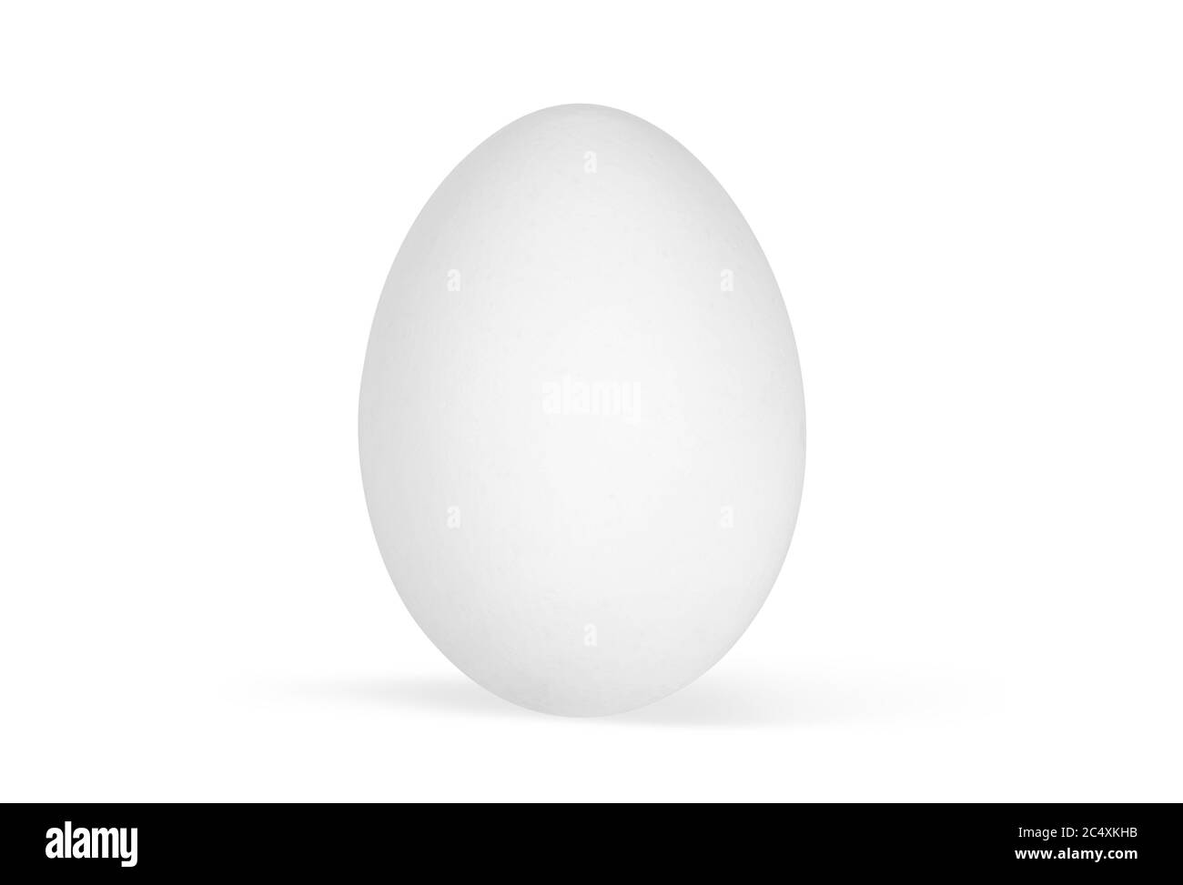 Coquille d'œuf de poulet blanc unique isolée sur fond blanc avec passe-cheveux Banque D'Images