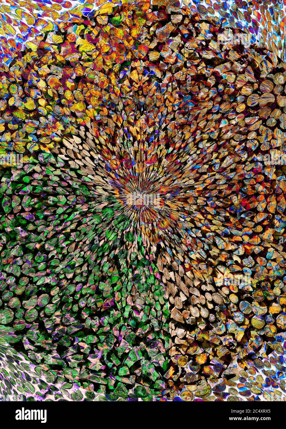 ART CONTEMPORAIN : un tas de forêt Banque D'Images
