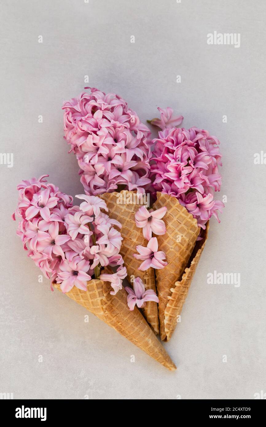 Image TopView de trois cônes de glace avec du jacinthus rose sur un plan d'examen gris clair. Banque D'Images