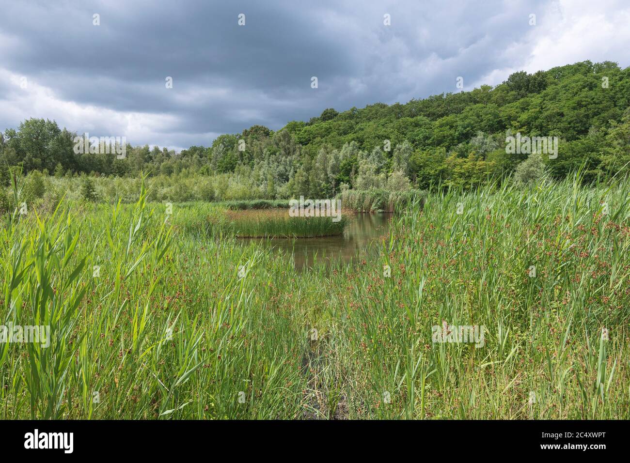 Photo de paysage de la nature à Steendorp un village en Flandre orientale en Belgique Banque D'Images