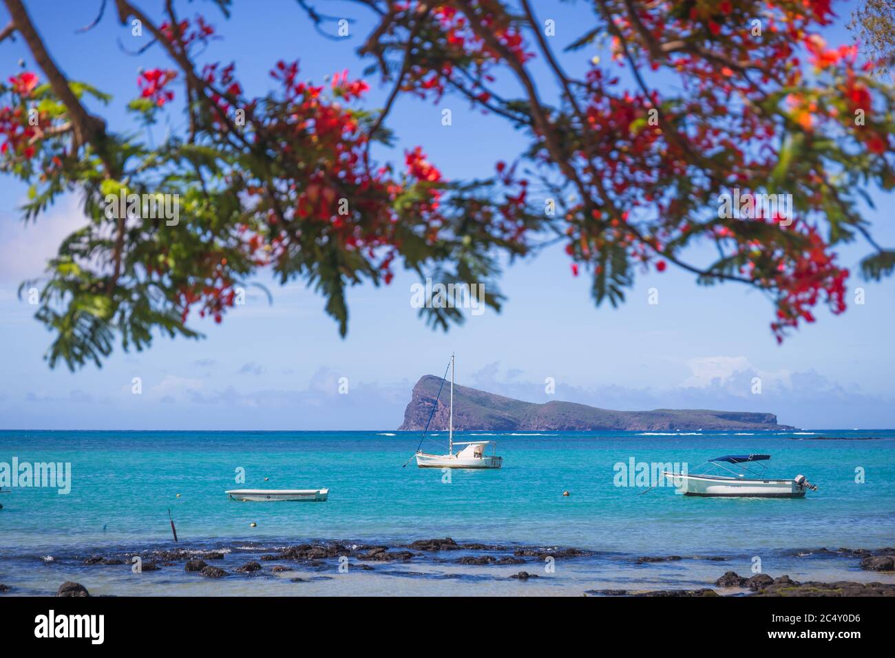 Cap Malheureux, vue sur la mer turquoise et l'arbre rouge flamboyant traditionnel, île Maurice Banque D'Images