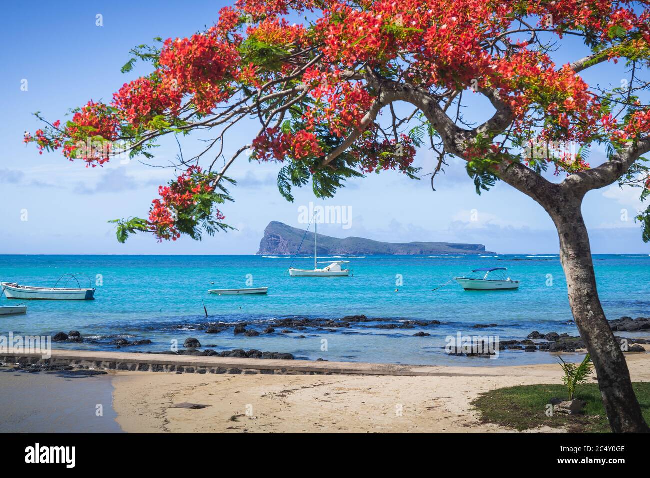 Cap Malheureux, vue sur la mer turquoise et l'arbre rouge flamboyant traditionnel, île Maurice Banque D'Images